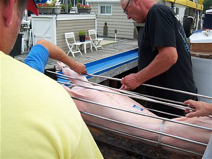 Image16.jpg
